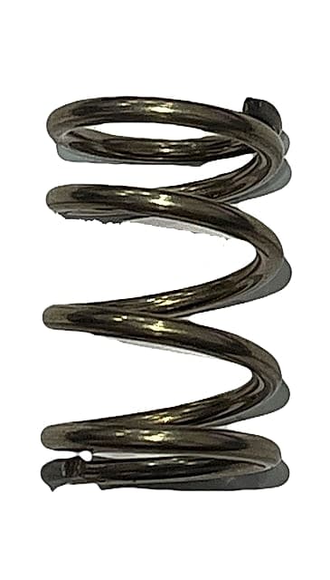 Assembly Back Spring